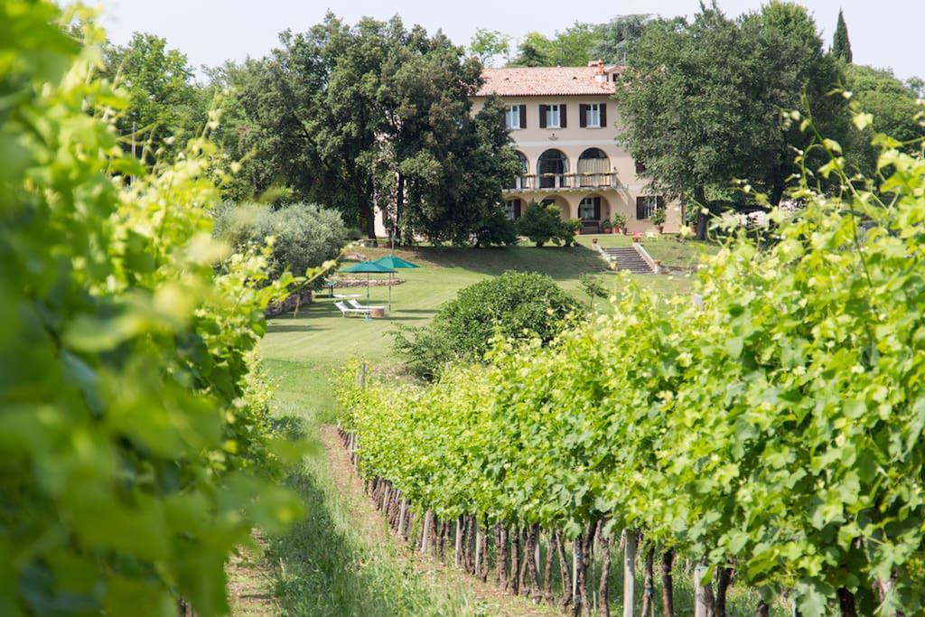 Villa Marani Rovolon Kültér fotó